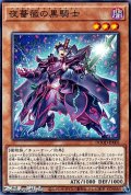 【ノーマル】夜薔薇の黒騎士