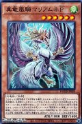 【ノーマル】真竜凰騎マリアムネP