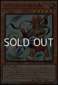 【スーパーレア】アマゾネスの戦士長
