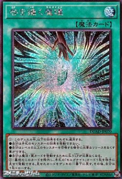 画像1: 【シークレットレア】咎を擁く魔瞳