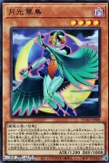 【ウルトラレア】月光翠鳥
