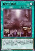 【ウルトラレア】真帝王領域