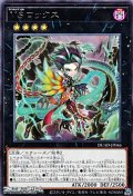 【レア】VS ロックス