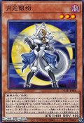 【ノーマル】月光銀狗