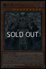 【スーパーレア】轟の王ハール