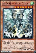 【ノーマル】嵐征竜－テンペスト