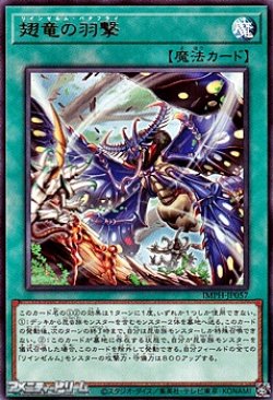 画像1: 【レア】翅竜の羽撃