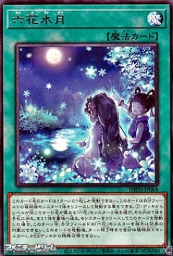 画像1: 【レア】六花水月