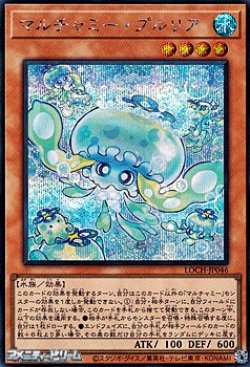 画像1: 【シークレットレア】マルチャミー・プルリア