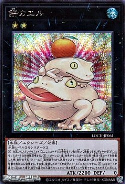 画像1: 【シークレットレア】餅カエル