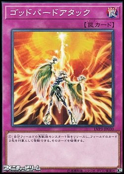 画像1: 【ノーマル】ゴッドバードアタック