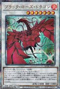 【25thシークレットレア】ブラック・ローズ・ドラゴン (イラスト違い)