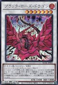 【シークレットレア】ブラック・ローズ・ドラゴン