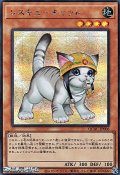 【シークレットレア】レスキューキャット (イラスト違い)
