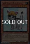 【スーパーレア】レスキューキャット