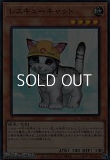 【スーパーレア】レスキューキャット