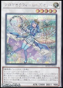 画像1: 【シークレットレア】アロマセラフィ－ローズマリー