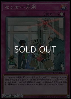 画像1: 【コレクターズレア】センサー万別