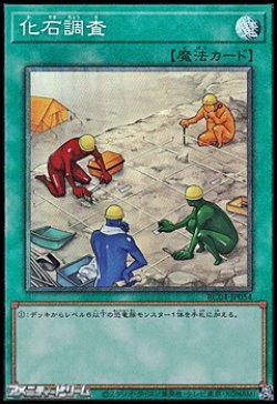 画像1: 【コレクターズレア】化石調査