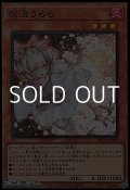 【ウルトラレア】灰流うらら