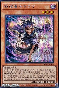 画像1: 【シークレットレア】破械童子サラマ