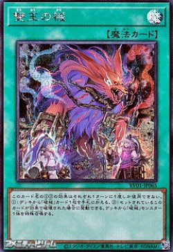 画像1: 【シークレットレア】雙王の械