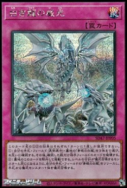 画像1: 【シークレットレア】白き龍の威光