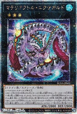 画像1: 【25thシークレットレア】マテリアクトル・エクサガルド