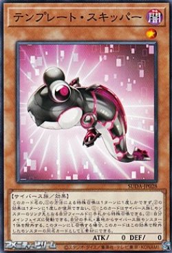 画像1: 【ノーマル】テンプレート・スキッパー