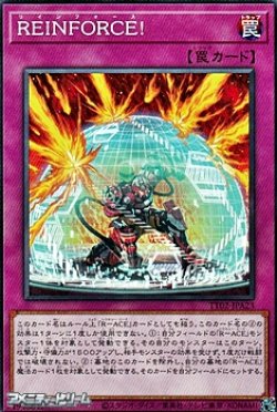画像1: 【ノーマル】REINFORCE!