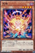 【ノーマル】荒魂