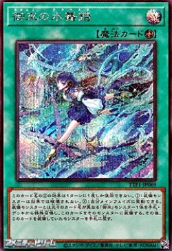 画像1: 【シークレットレア】御巫の水舞踏