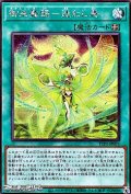 【シークレットレア】御巫舞踊－迷わし鳥
