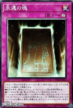 画像1: 【ノーマル】永遠の魂
