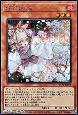 画像1: 【シークレットレア】灰流うらら