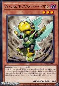 【ノーマル】A・ジェネクス・バードマン
