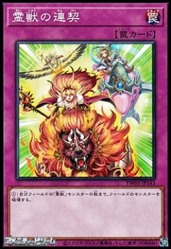 画像1: 【パラレル】霊獣の連契