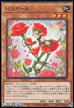 画像1: 【レア】バラガール