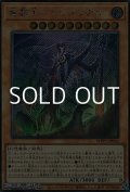 【シークレットレア】竜葬主－ヴィブリアル