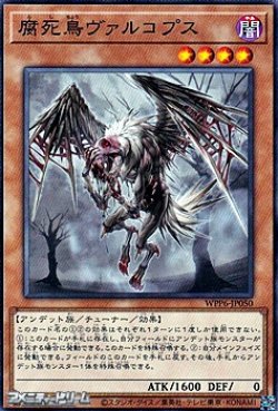 画像1: 【ノーマル】腐死鳥ヴァルコプス