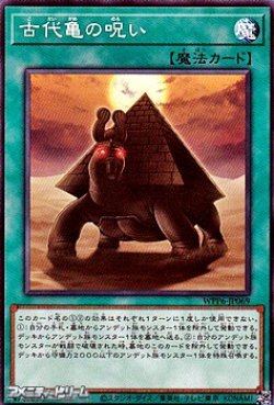 画像1: 【ノーマル】古代亀の呪い