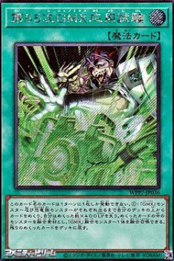 画像1: 【シークレットレア】第55次GMX応用試験