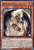 【レア】暁光のブイオ