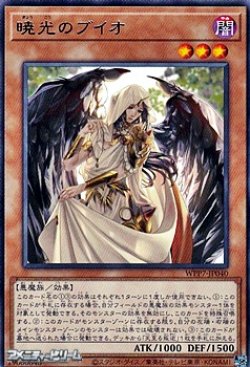 画像1: 【レア】暁光のブイオ