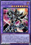 【シークレットレア】波動の超魔導剣士－ブラック・パラディン