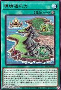 【ウルトラレア】環境適応力