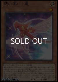 【レア】想い集いし竜