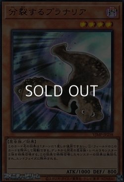 画像1: 【ウルトラレア】分裂するプラナリア