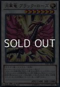【ウルトラレア】月華竜 ブラック・ローズ