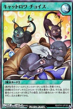画像1: 【スーパーレア】キャットロワ チョイス